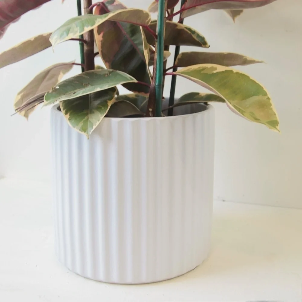 White Ceramic Ribbed Vase